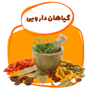 گیاهان