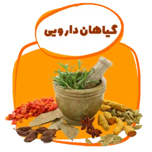 گیاهان