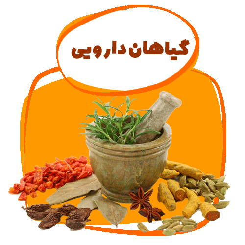 گیاهان